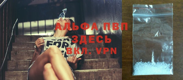 хмурый Алзамай