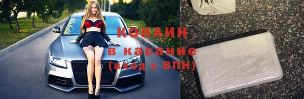 хмурый Алзамай