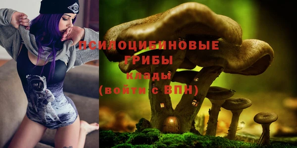хмурый Алзамай