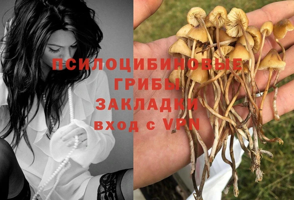хмурый Алзамай