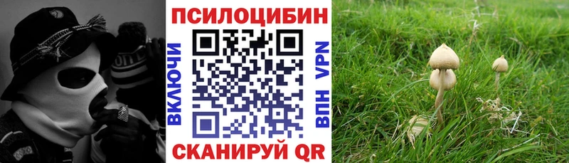 Псилоцибиновые грибы мицелий Рыбное